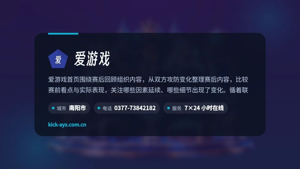 爱游戏简介